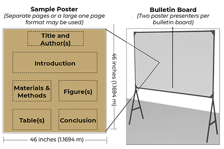 posterboard diagram