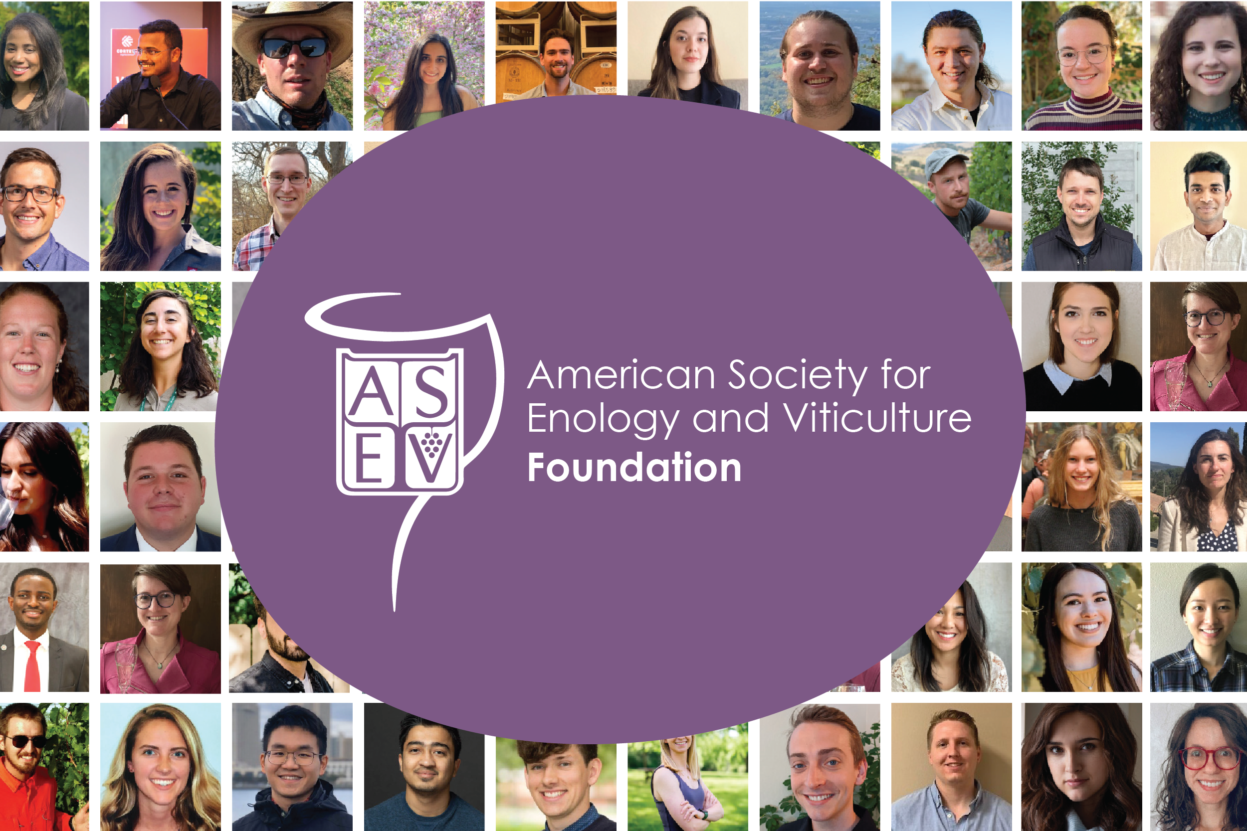 ASEV foundation